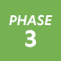 Phase 3